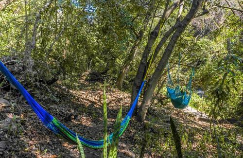 Xoxocotla Ski Chalet | Glamping Sostenible Cabaña El Santuario