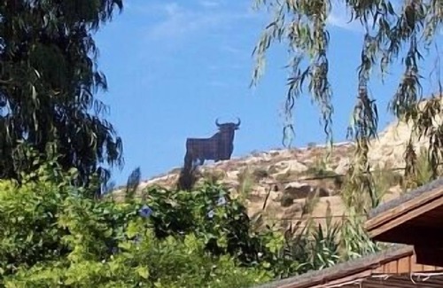Almayate Bajo Bed & Breakfast | Glamping Spain - Mongolian Yurt - Wooden Chalet - Close To Beach!