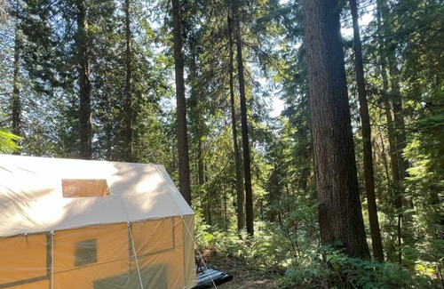 Port Moody Cottage | Glamping Tent 2 | Cape Carraholly Retreat