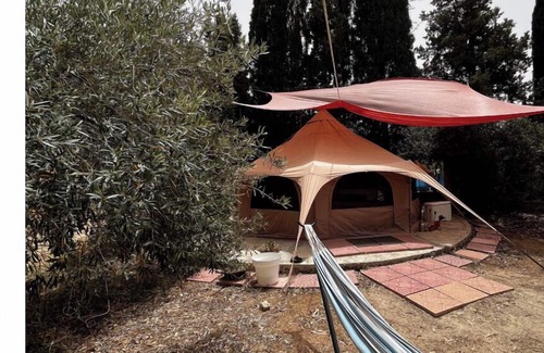 Quartu Sant'Elena RV Rental | Glamping tent among olive trees In Our Garden Sardinia