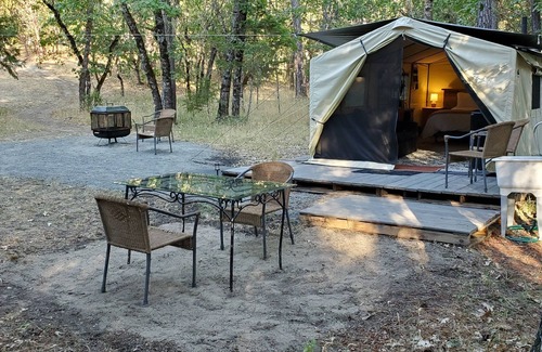 Murphy Apartment | Glamping Tent in The Woods