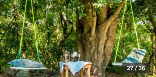 Xoxocotla House | Glamping Teques Naturaleza de lujo Granja El Sol