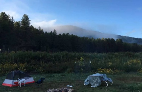 Mayhill RV Rental | Glamping Wall Tent in a Cozy Forest Setting at Camp Rio