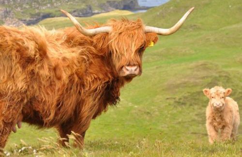 Breakish House | Glas Bheinn Cottage