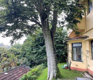 Coonoor House | Glenwood