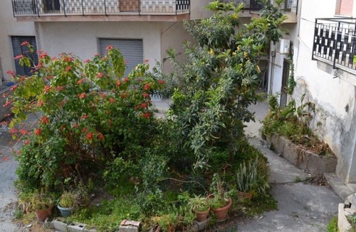 Marina di Caulonia House | Glicine apartment