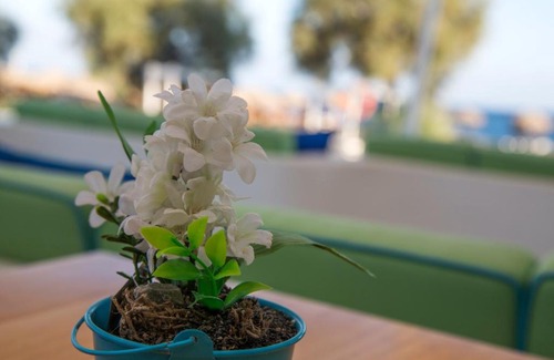 Agios Georgios Apartment | Glykeria Mini Suites