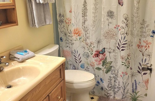 Lynchburg House | Go for a swim! Cozy, private 2-bedroom guest house with pool, near colleges.