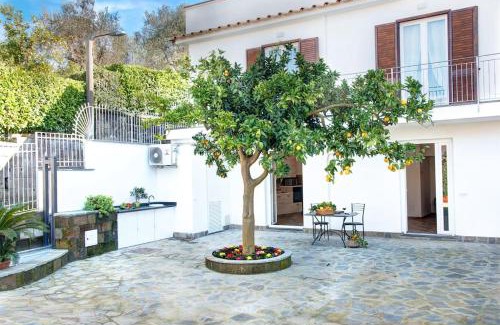Schiazzano House | GOCCE VILLAS - The Orange Country Home