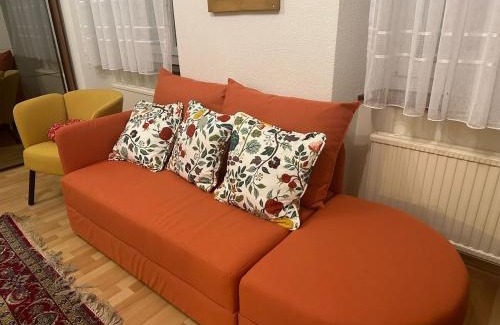 Dornach Apartment | Goetheanum Casa