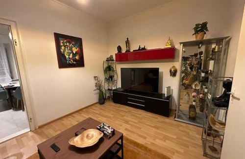 Dornach Apartment | Goetheanum Casa