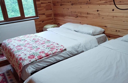 Borcka Hotel | Gogalay Bungalov Hotel - Restoran