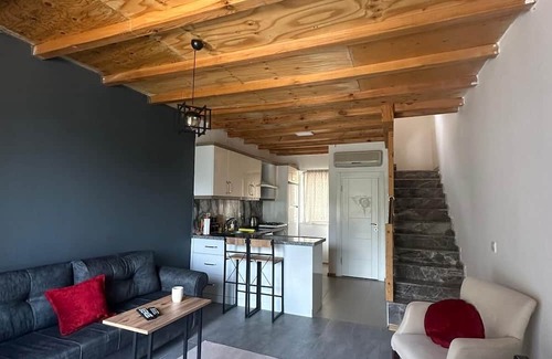 Konyaalti Ski Chalet | Gökdere Evleri! “A touch to the heart of nature” Pet- Friendly !
