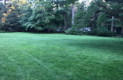 Glen Cove House | Gold Coast August rental