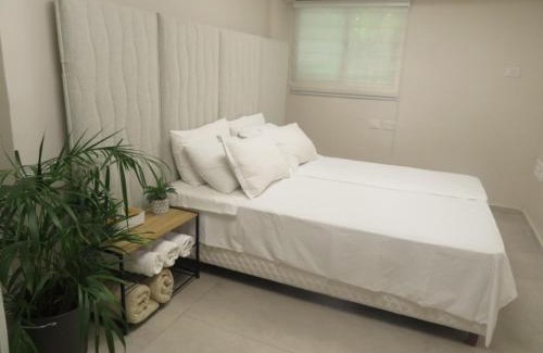 Beit Shemesh Apartment | Gold House
