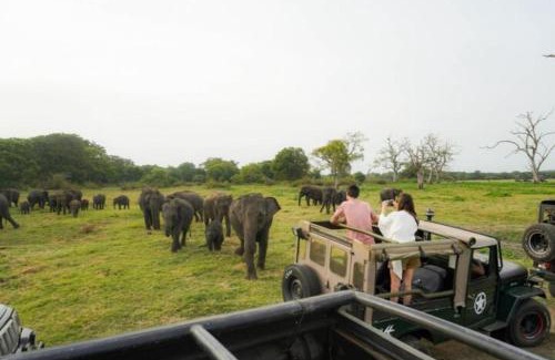 Dambulla Hotel | Golden Eco Ayur Villa
