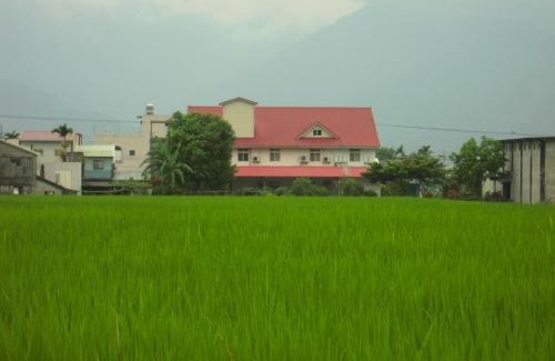 Yuli House | Golden flower Homestay