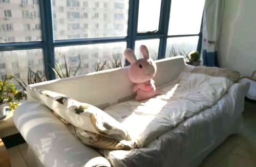 Beijing Apartment | Golden guesthouse