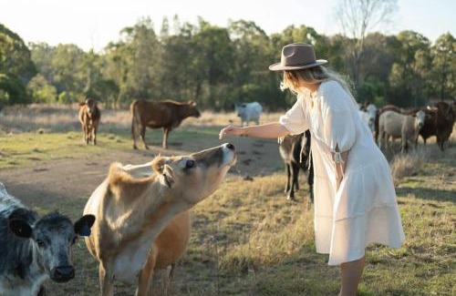 Rosedale House | Golden Hill Farmstay by Tiny Away