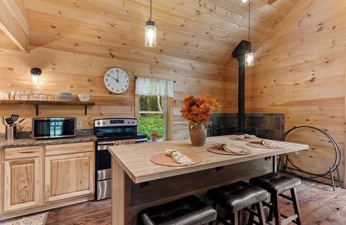 Davenport Cabin | Golden Meadows spacious Cabin with Fire-pit, near all baseball camps
