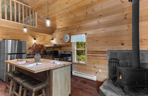 Davenport Cabin | Golden Meadows spacious Cabin with Fire-pit, near all baseball camps