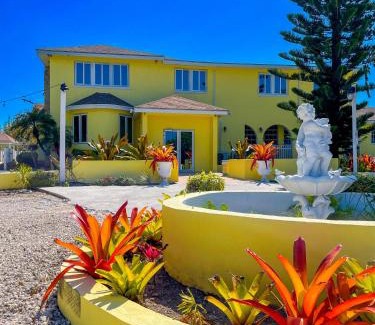 Westwind Bed & Breakfast | Golden Palms House