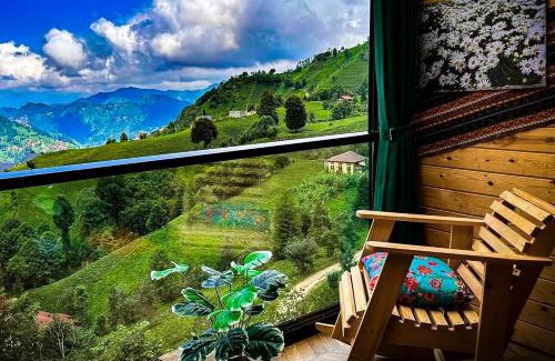 Kumburgaz House | Golden Paws Guesthouse