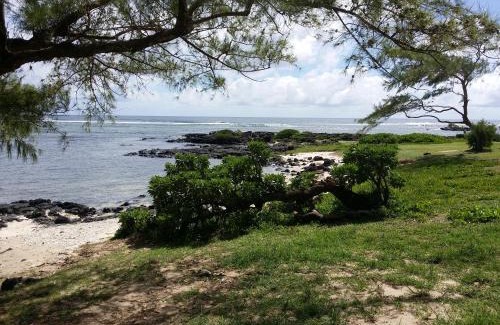 Palmar Villa | Golden Rod villa