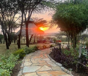 Maasai Mara Cabin | Golden Sky Mara