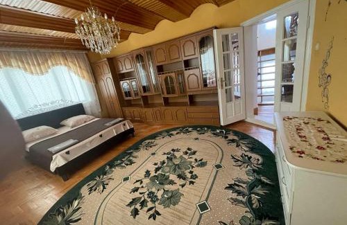 Transcarpathia Apartment | Golden Sun (3-х кім. Апартамент 7 км від Берегова)