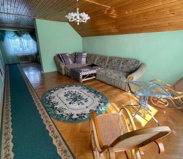 Transcarpathia Apartment | Golden Sun (3-х кім. Апартамент 7 км від Берегова)