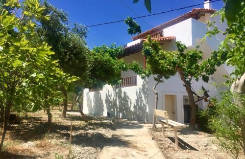 Roussospiti House | Goldy's Villa