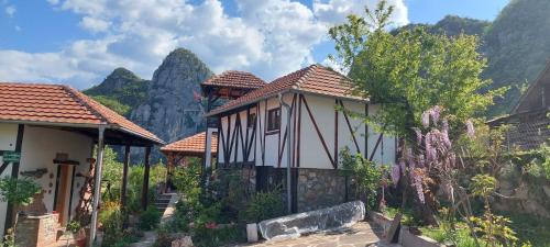 Stara Planina Apartment | Golemi kamik Pirot Vlasi 4