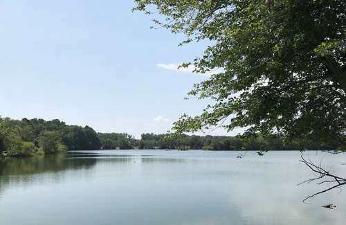 Ocean Pines House | Golf course front home with wood-burning fireplace, deck & paid pool access