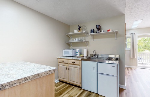 Baneberry Apartment | Golf view, 2nd-floor studio with balcony, game room & gym - walk to Douglas Lake