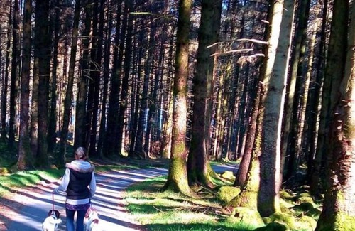 Ponterwyd Ski Chalet | Golygfa Dinas in Aberystwyth