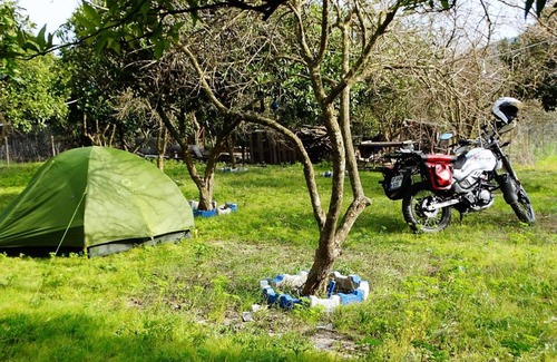 Adrasan Other | Gonca Camping-Adrasan