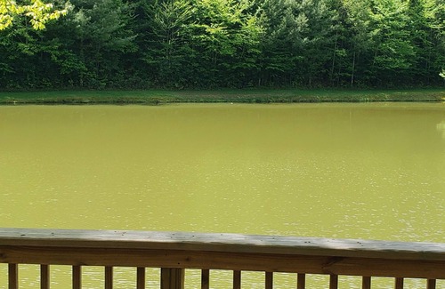 Check Cabin | Gone Fishing Cabin & Zipline Retreat