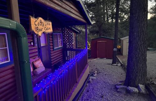 Ruidoso House | Gonzales Cozy Little Bear Cabin