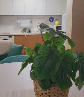 Sadang-dong Apartment | Good Daisy