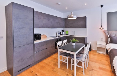 Finsbury Park Apartment | Goodwin
