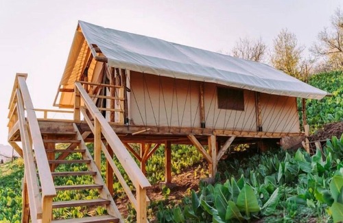 Besqaynar Ski Chalet | Gora Glamping