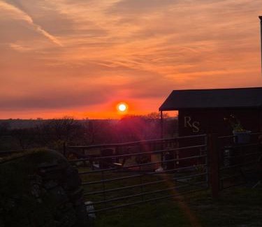 Whitland Apartment | Gorffws Y Cneifwr