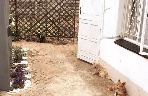 Harare Apartment | Gorgeous 1-bed Apartment in Harare