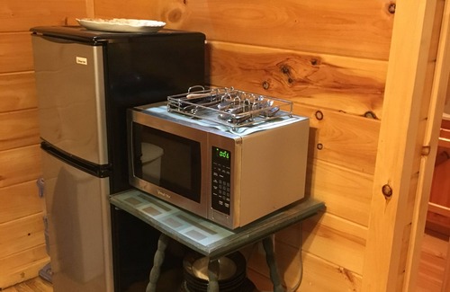 Trumansburg Cabin | Gorgeous cabin for on lakefront property!