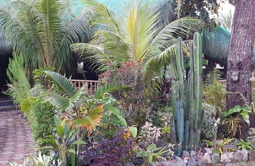 Looc Cottage | Gorgeous Cottage for 2, Best Resort in Tablas