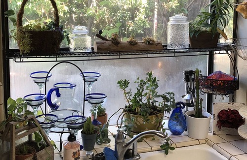 American River Canyon House | Gorgeous Home and Tranquil- Host couple is on site.