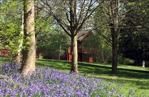 Marlow House | Gorgeous Log Cabin in the beautiful countryside - 1 hour from London