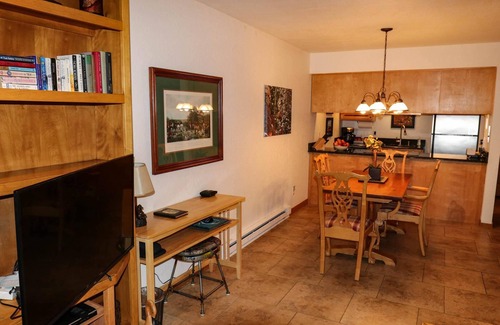 Purgatory Condo | Gorgeous Mountain Condo Near Purgatory Ski Resort