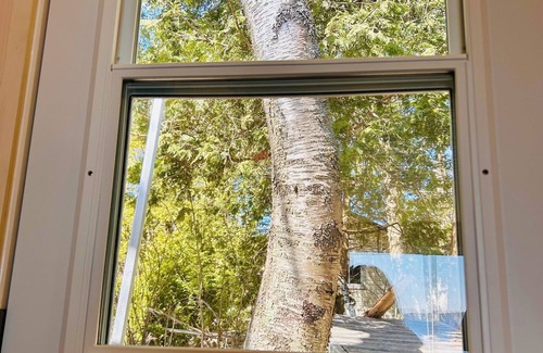 Kawartha Lakes Cabin | Gorgeous Private Waterfront Bunkie - Fenelon Falls - Cameron Lake!
